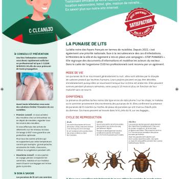 c cleanservices3d fichespunaises 150324 batprint page 0001