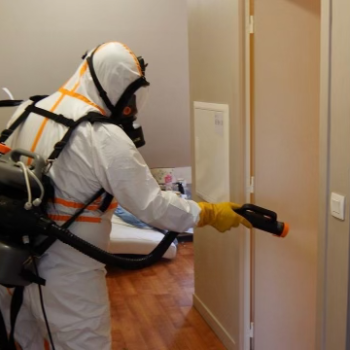 injection punaise de lit