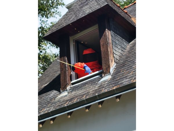 INTERVENTION DANS LE MORBIHAN A AURAY SUR NID DE FRELONS COMMUNS