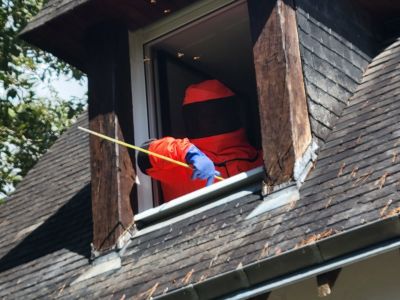INTERVENTION DANS LE MORBIHAN A AURAY SUR NID DE FRELONS COMMUNS