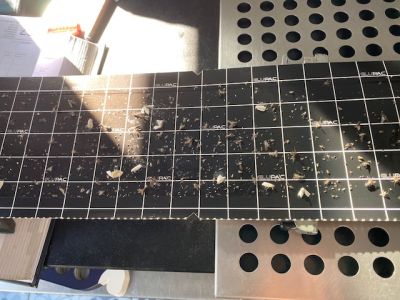 La mouche dans les cuisines professionnels
