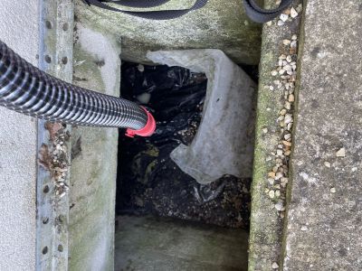 Intervention de désinsectisation sur un vide sanitaire