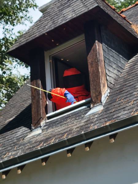 INTERVENTION DANS LE MORBIHAN A AURAY SUR NID DE FRELONS COMMUNS