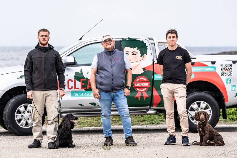 Entreprise chien renifleur pour la punaise de lit  sur Auray et Vannes .