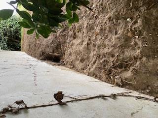 intervention sur vannes sur des rats