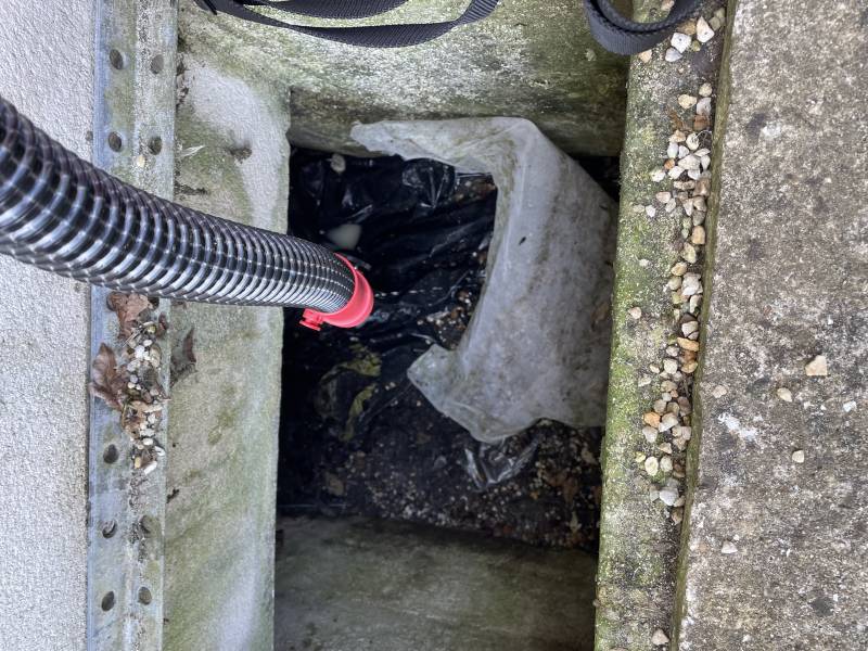 Intervention de désinsectisation sur un vide sanitaire